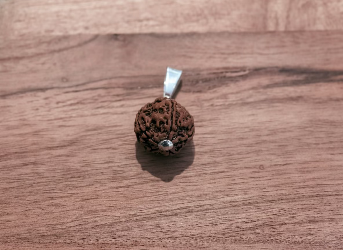 Rudhraks hanger groot 5 mukhi