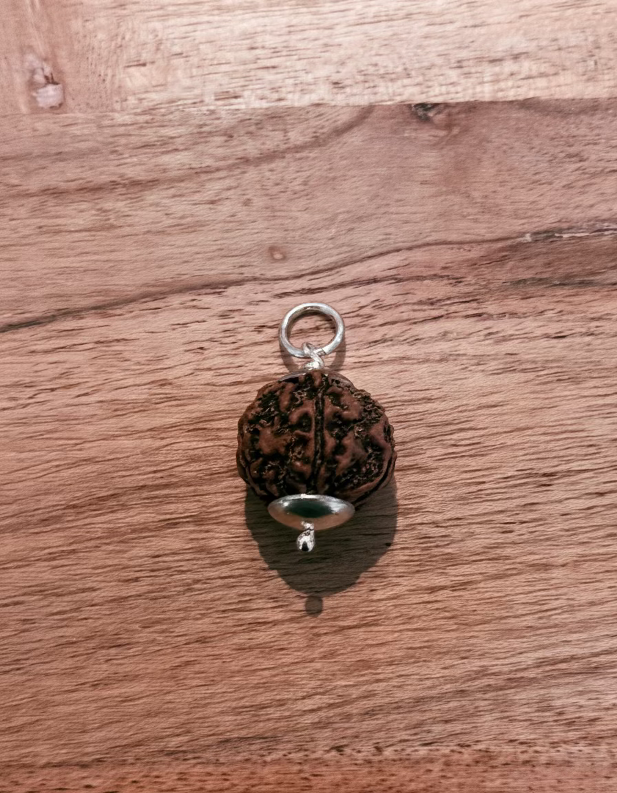 Rudhraks hanger groot 5 mukhi