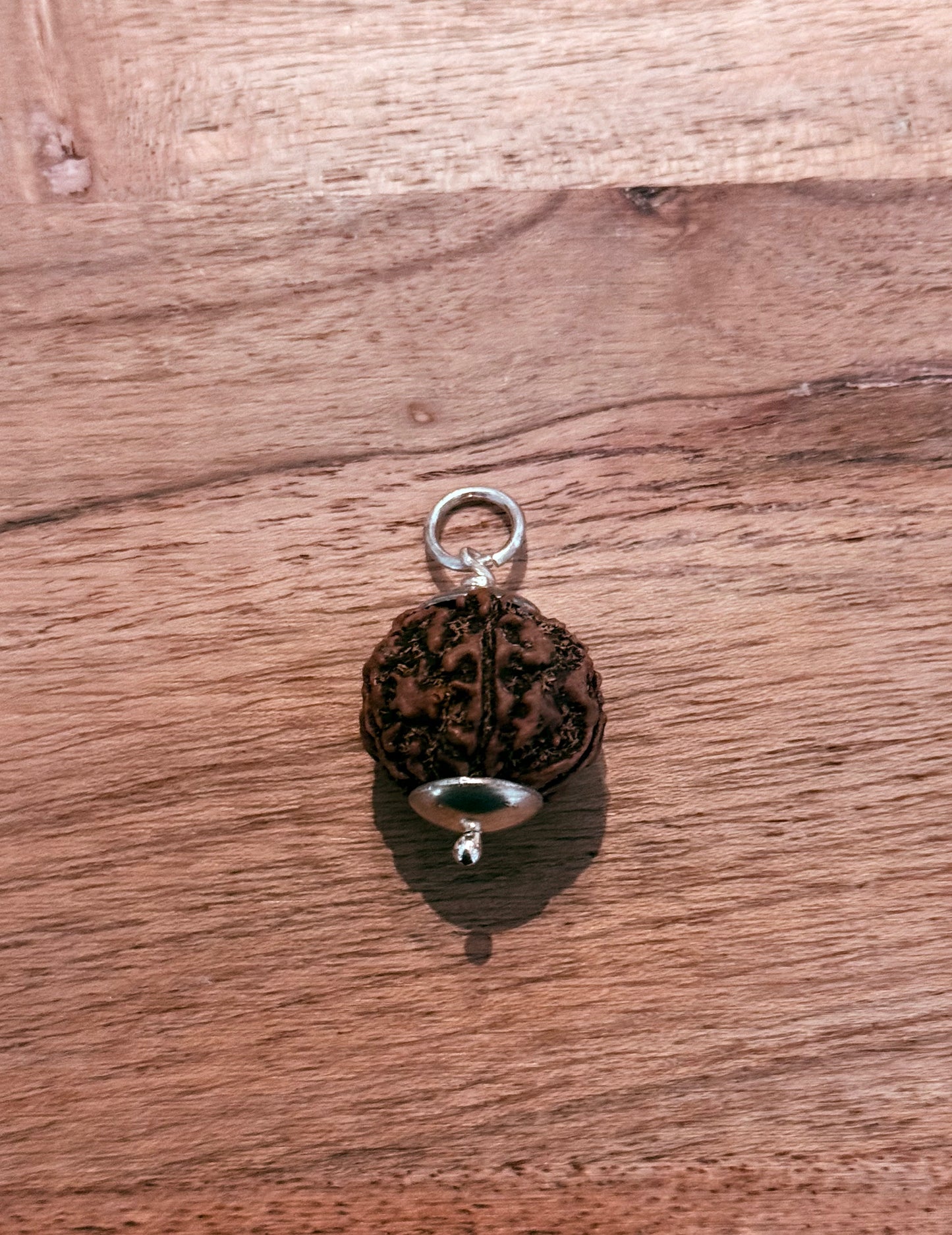 Rudhraks hanger groot 5 mukhi