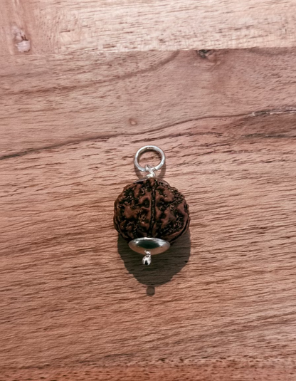 Rudhraks hanger groot 5 mukhi